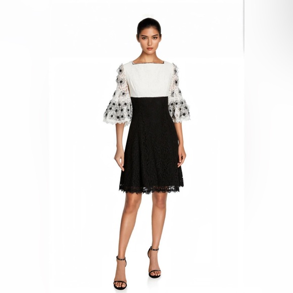 SHANI Dresses & Skirts - Shani Floral Appliqué Colorblock Fit & Flare Lace Dress